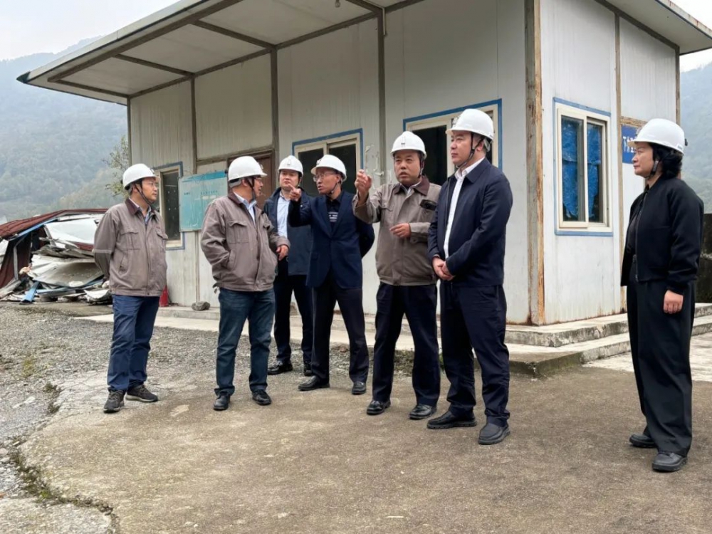 莫勇到煎茶嶺鎳業(yè)調研